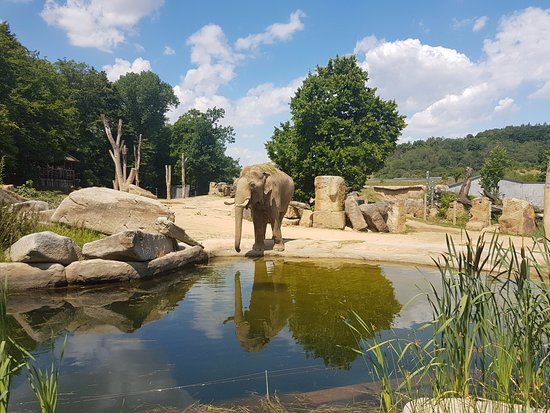Zoo di Praga
